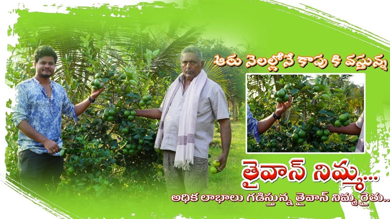 Farmer Success Stories